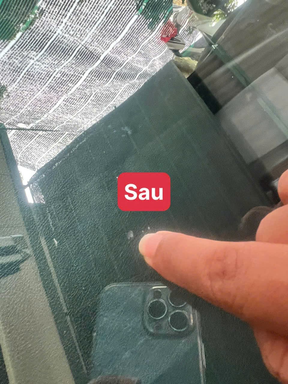 Sau